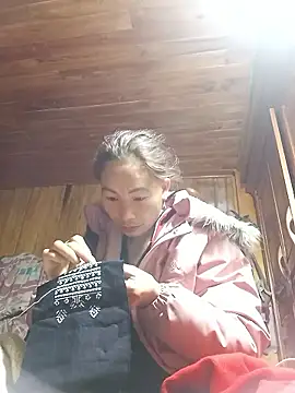 Nllpvp online show from 11, 1, 2026