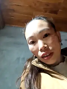 Nllpvp online show from 31, 1, 2026