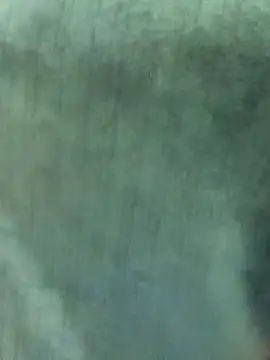 Nooran noona online show from 7, 1, 2026