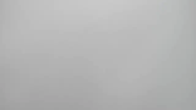 Sarah sumemers online show from 23, 2, 2026