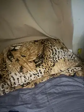 Snapshot of magneto01 chatting on 5, 4, 2026 magneto01 online show from 5, 4, 2026