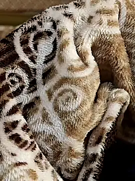 Snapshot of Love_Sweat5 chatting on 8, 1, 2026 Love Sweat5 online show from 8, 1, 2026