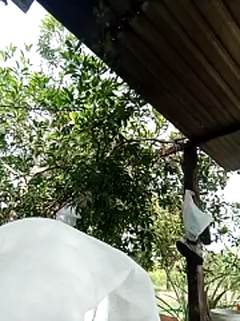 Snapshot of -Nicole-e chatting on 10, 2, 2026 -Nicole-e online show from 10, 2, 2026