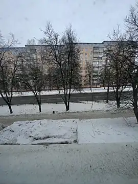 se x instruktor online show from 12, 2, 2026