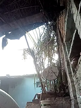 Hasmi hot09 online show from 2, 3, 2026