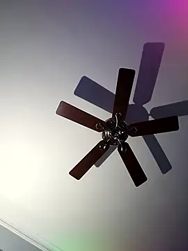 TorpedoTim online show from 8, 1, 2026