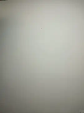 Morgan oficial99 online show from 10, 1, 2026