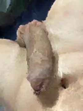 misteryboi online show from 1, 2, 2026