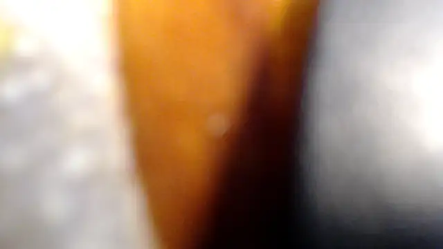 Efckyariangel online show from 10, 1, 2026