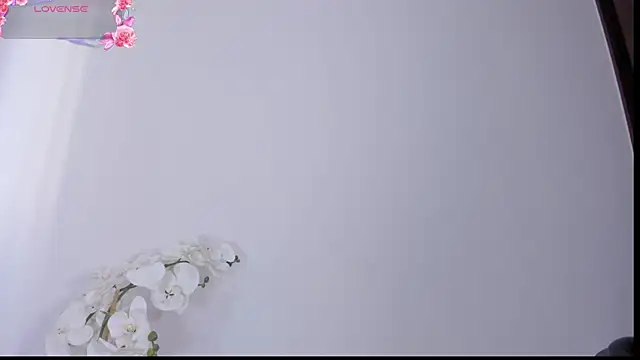 Xara bliz online show from 9, 1, 2026