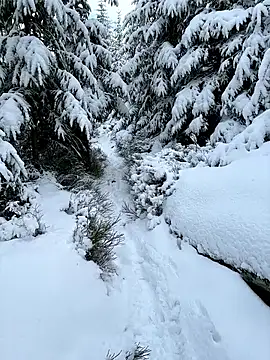 Marina und Jayden online show from 18, 2, 2026