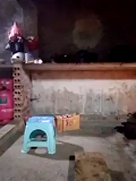 Snapshot of cdyyds-69 chatting on 15, 1, 2026 cdyyds-69 online show from 15, 1, 2026