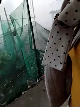 waaini99 online show from 9, 2, 2026