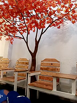 Dante Knox online show from 24, 2, 2026