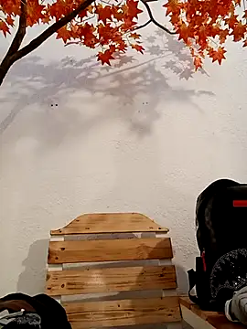 Dante Knox online show from 16, 3, 2026