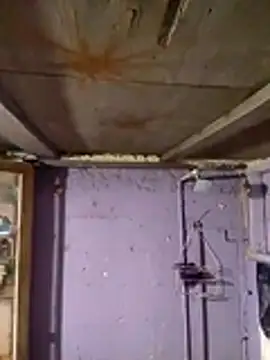 Guanatos13 online show from 2, 2, 2026