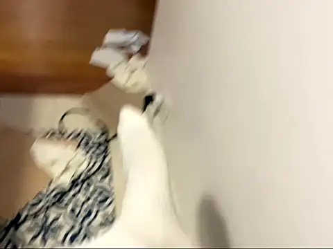 sexdiscolove online show from 1, 2, 2026