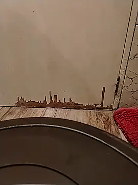 Gorditacarlota online show from 1, 2, 2026