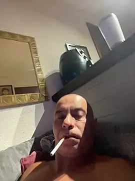 dogfrota online show from 11, 1, 2026