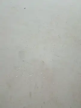 Snapshot of Lyly-68688 chatting on 15, 4, 2026 Lyly-68688 online show from 15, 4, 2026