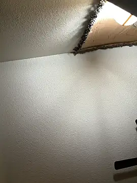 JoeyBlazy online show from 12, 1, 2026