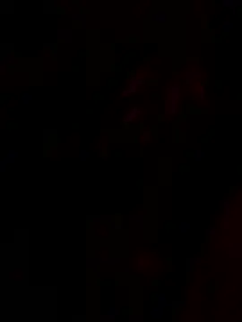 tropicalpied online show from 16, 1, 2026