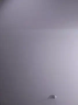 NickoHetero online show from 10, 2, 2026