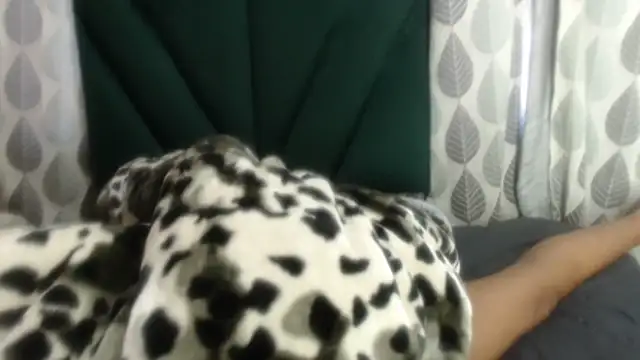 Snapshot of Nellybba chatting on 27, 3, 2026 Nellybba online show from 27, 3, 2026