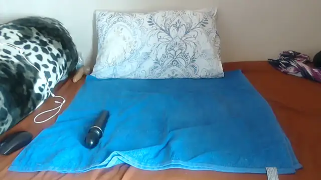 Snapshot of Nellybba chatting on 2, 4, 2026 Nellybba online show from 2, 4, 2026