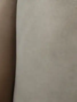 Bunny 2k online show from 17, 1, 2026