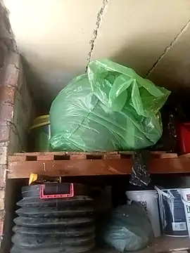 Snapshot of dicklife3485 chatting on 31, 3, 2026 dicklife3485 online show from 31, 3, 2026