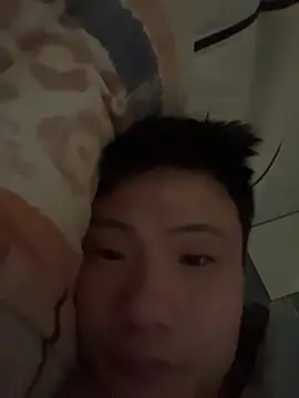 elephant0 online show from 17, 1, 2026