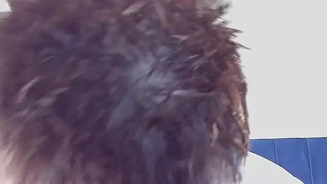 DrakeCarter online show from 26, 2, 2026