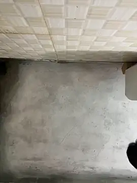 nmducnb online show from 19, 4, 2026