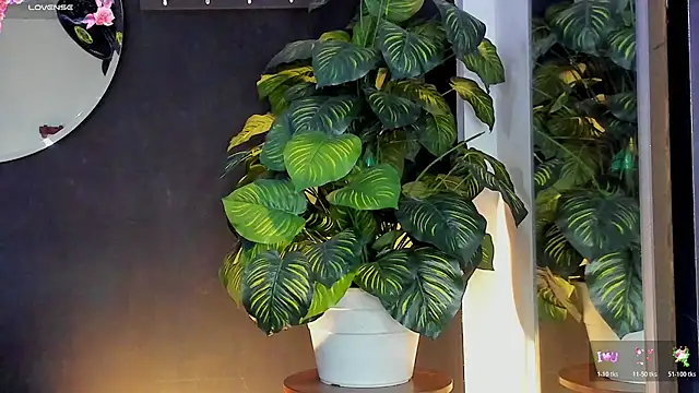 Snapshot of Noaah25_ chatting on 20, 3, 2026 Noaah25 online show from 20, 3, 2026