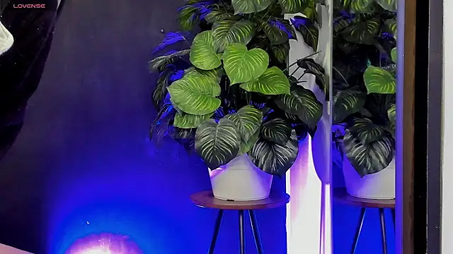 Snapshot of Noaah25_ chatting on 22, 3, 2026 Noaah25 online show from 22, 3, 2026