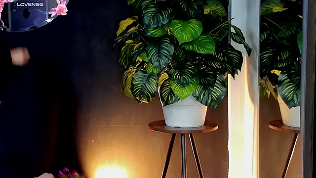 Snapshot of Noaah25_ chatting on 10, 4, 2026 Noaah25 online show from 10, 4, 2026