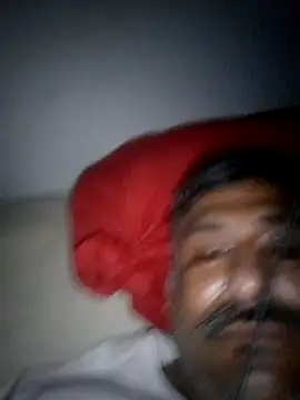 PERRO3010 online show from 14, 1, 2026