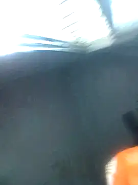 knightqueen12 online show from 22, 2, 2026