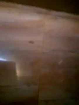 Snapshot of Xxxxxxxyssss chatting on 30, 6, 2026 Xxxxxxxyssss online show from 30, 6, 2026