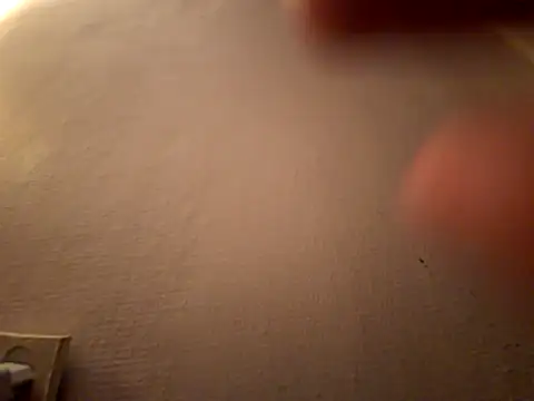 Snapshot of DanekBear chatting on 14, 4, 2026 DanekBear online show from 14, 4, 2026