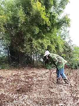 Jooj- online show from 22, 3, 2026