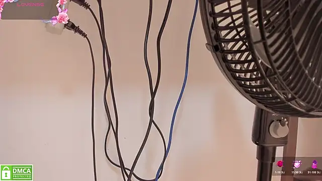 Zamahara Rodriguez online show from 8, 3, 2026