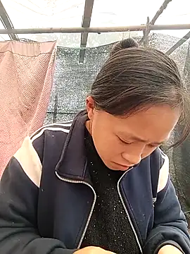 Hari-saka online show from 8, 3, 2026