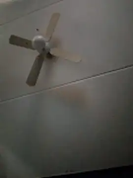 Snapshot of dewimp1 chatting on 3, 2, 2026 dewimp1 online show from 3, 2, 2026