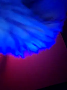 Snapshot of dewimp1 chatting on 6, 2, 2026 dewimp1 online show from 6, 2, 2026