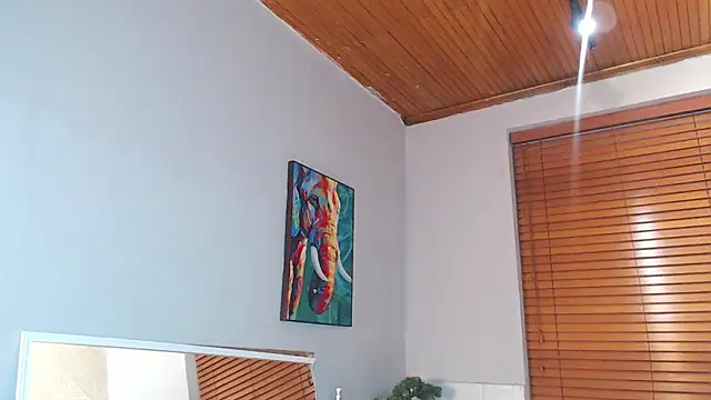 Teo dantex online show from 3, 2, 2026