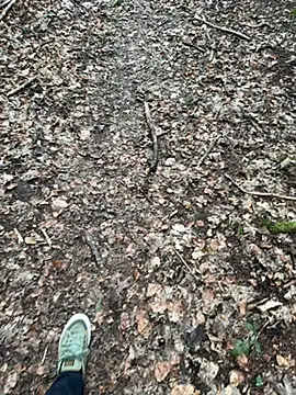 Snapshot of tony3729 chatting on 28, 2, 2026 tony3729 online show from 28, 2, 2026