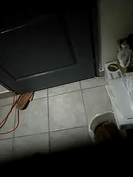 Snapshot of Punciprof chatting on 9, 4, 2026 Punciprof online show from 9, 4, 2026