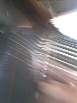 Peterveero12 online show from 16, 3, 2026